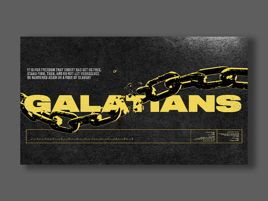 Brand Identity work